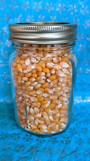 untapped seed potential